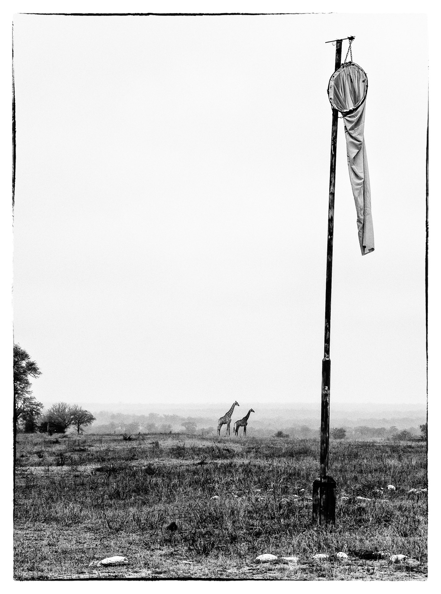 airstrip