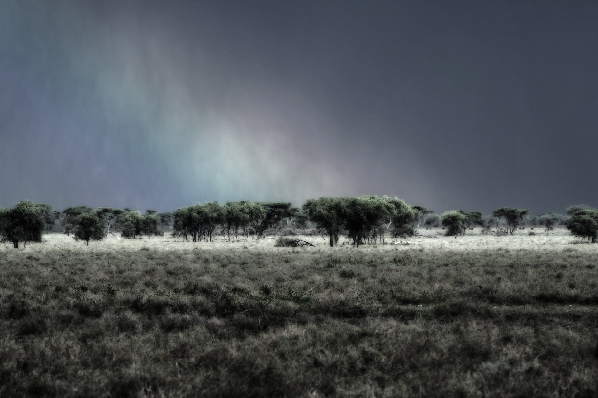 rainbow